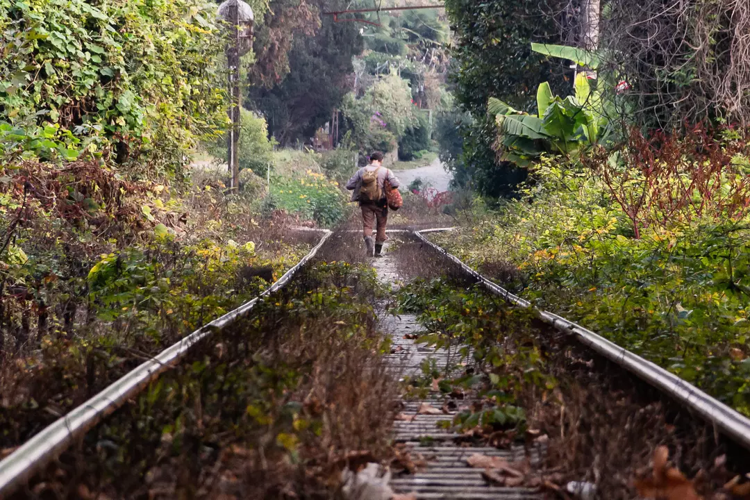 Personnes peu aimables, serpents, saleté et cuisine médiocre : tant mieux, cette destination est proscrite pour les Français